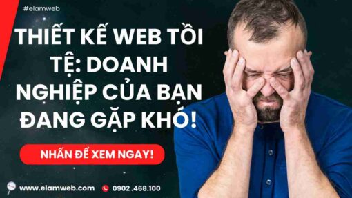 thiet ke web o can tho